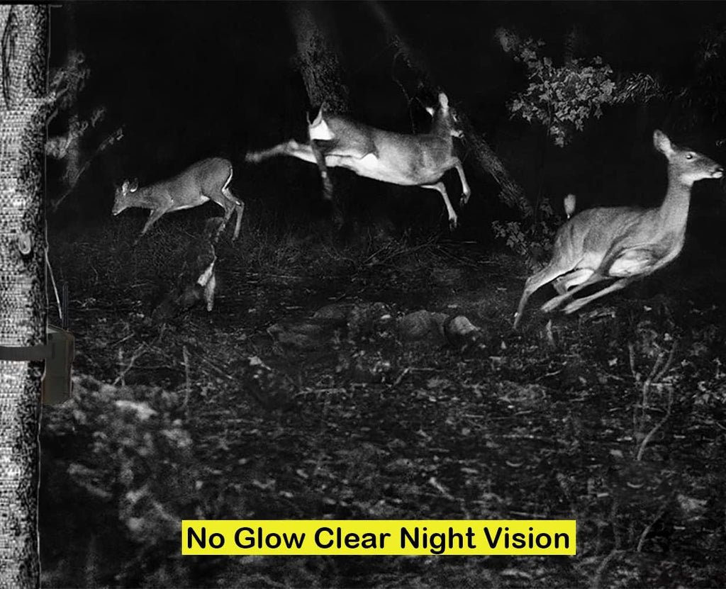 32MP 1296P WiFi Trail Camera with Night Vision Motion Activated Waterproof IP66 W660685