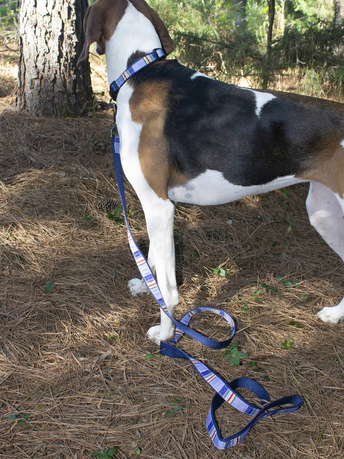 Hiker Leash E655