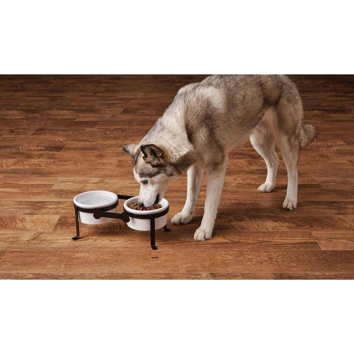 Iron Double Diner with Ceramic Dog Bowls W635077