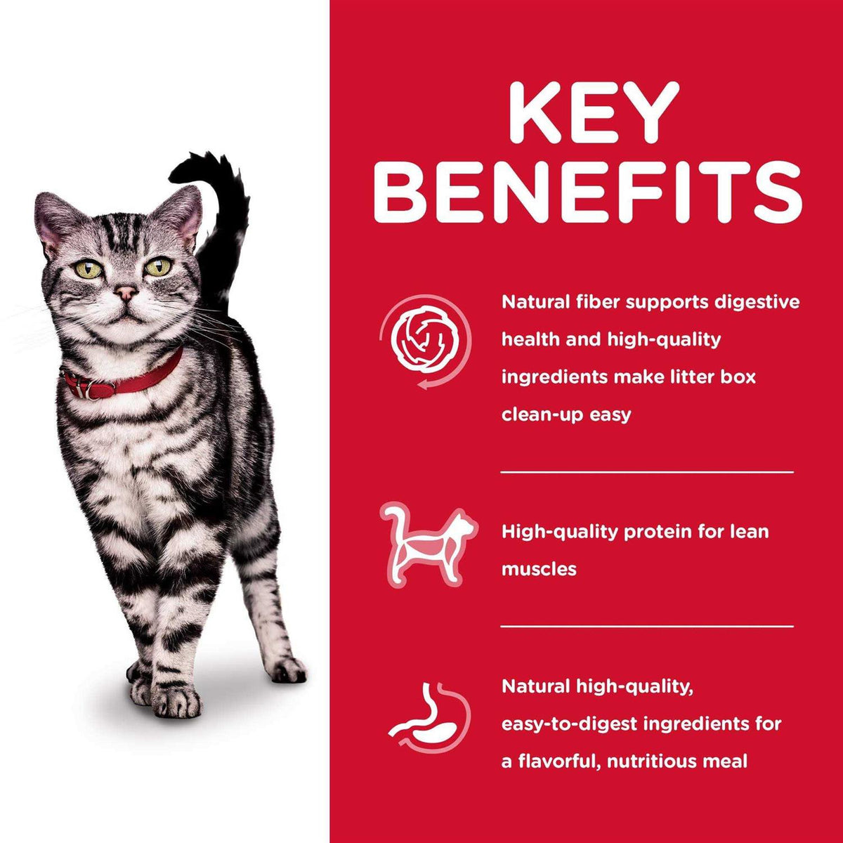 Adult Indoor Cat Dry Food A725646