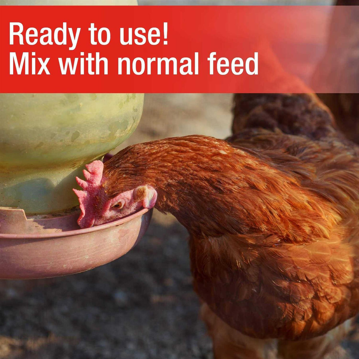 Poultry Grit X29590