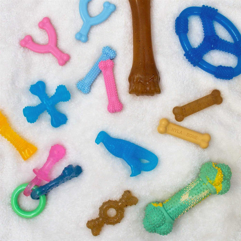 Puppy Chew Toy D99892