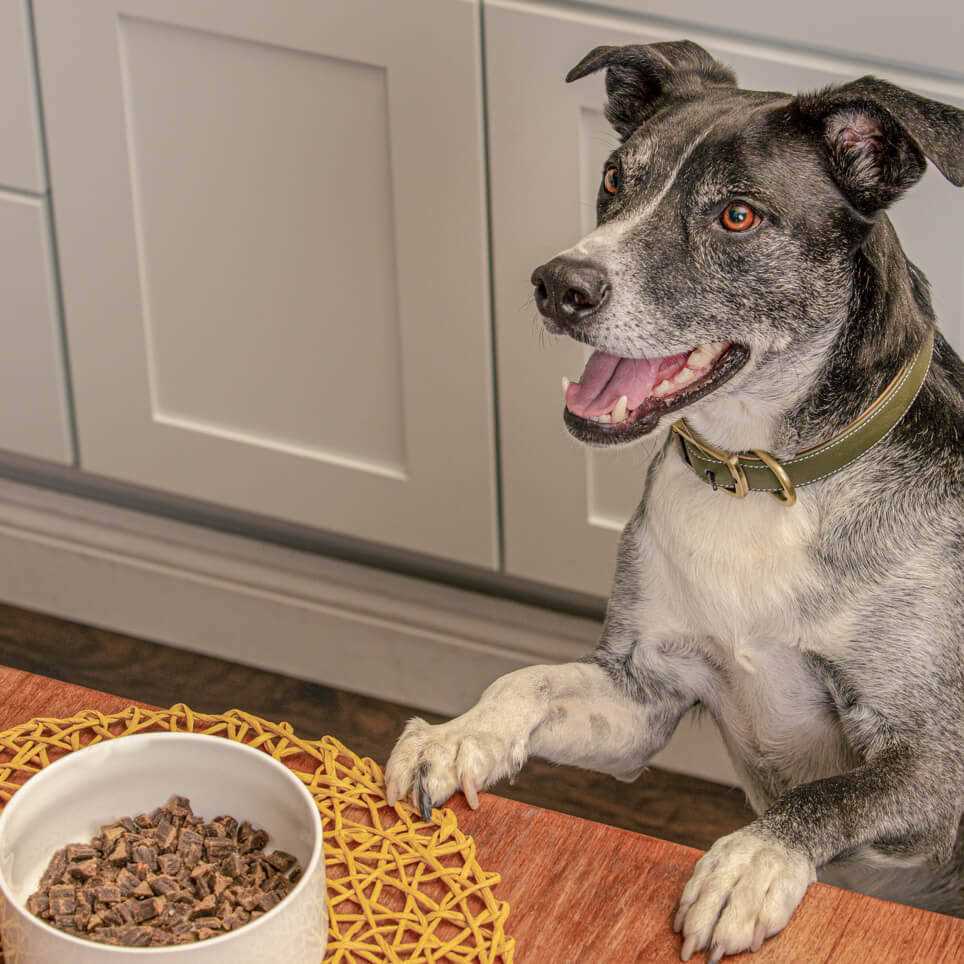 Air Dried Chicken Dog Food Z3662