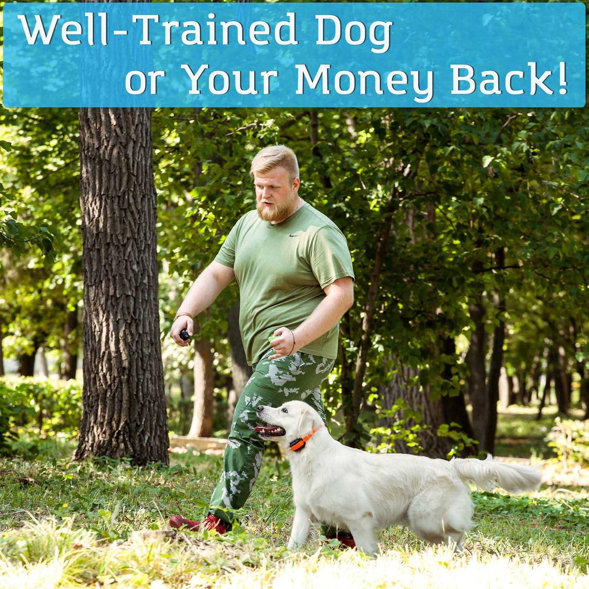 Remote Dog Training Collar S654680