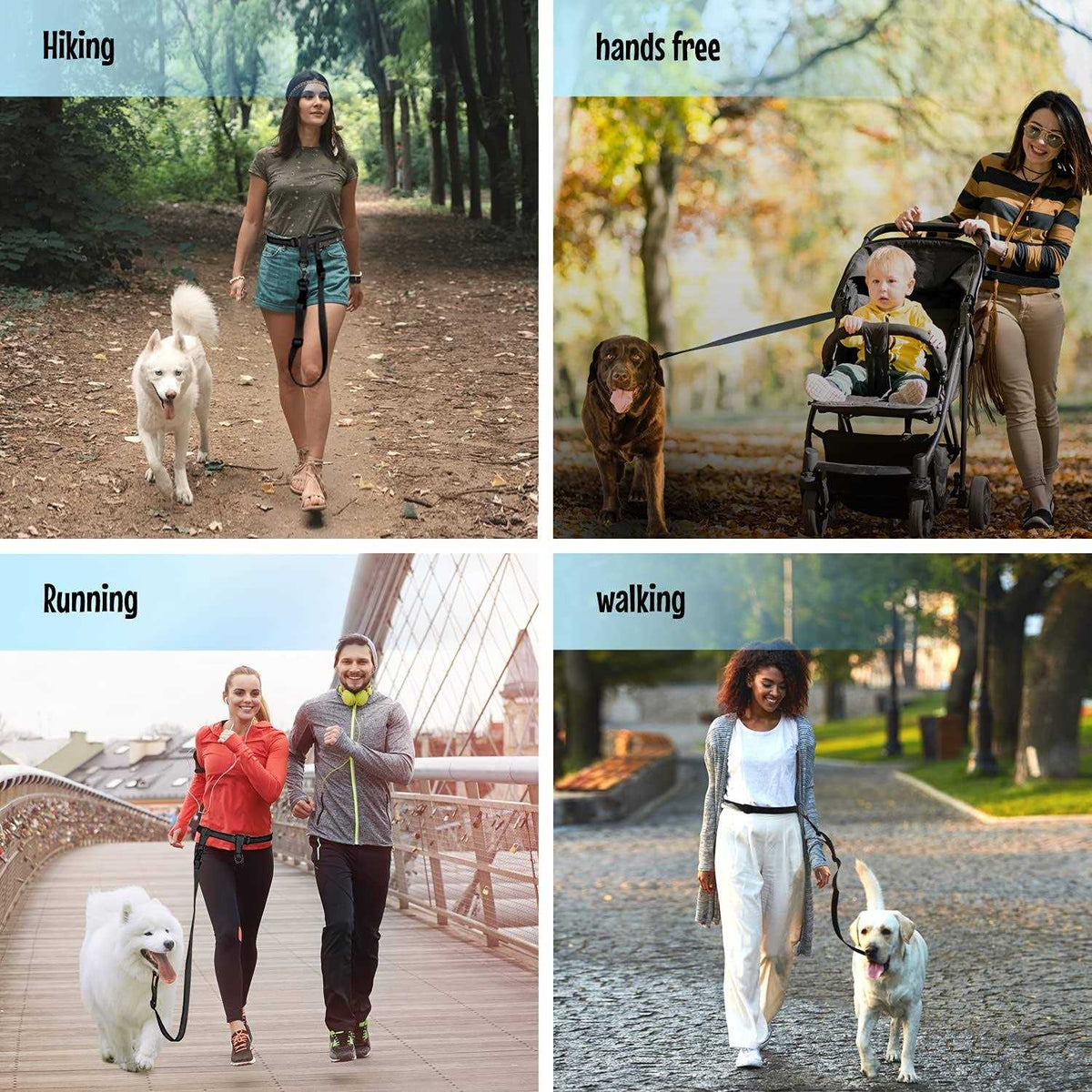 Adjustable Hands Free Dog Leash S976825