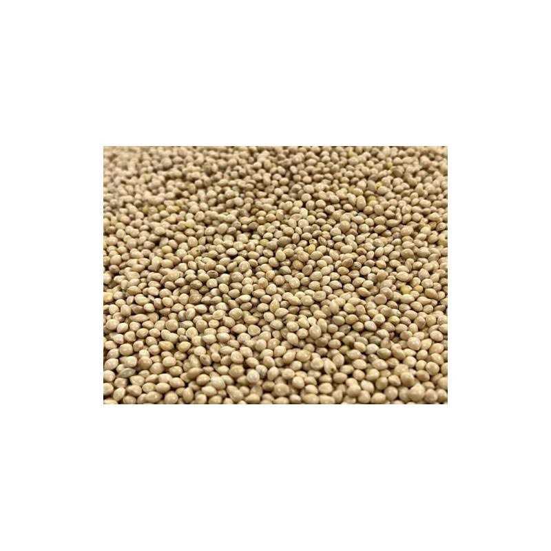 White Proso Millet Bird Seed 10lbs J971