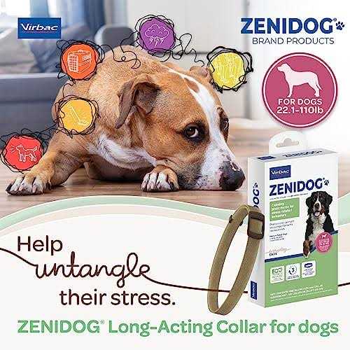 Long-acting Collar Medium/large C2573