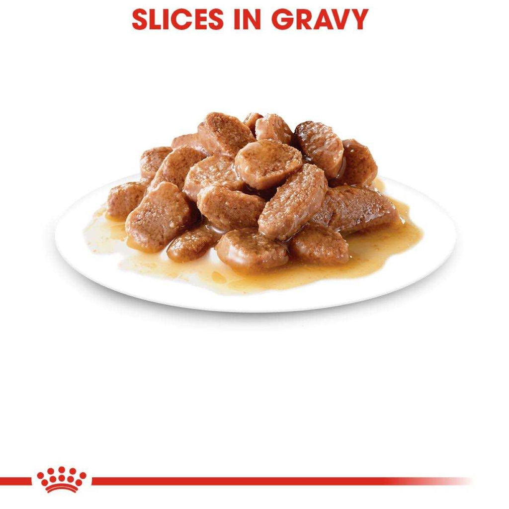 Weight Care Adult Thin Slices in Gravy Wet Cat Food I280666