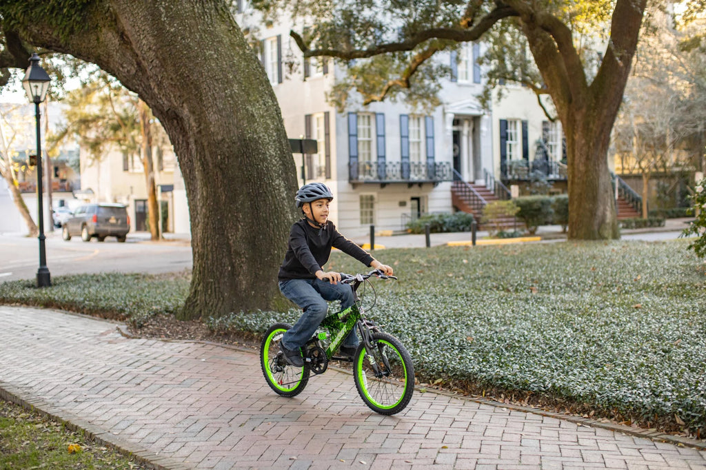 20-Inch Boys BMX Bike E103