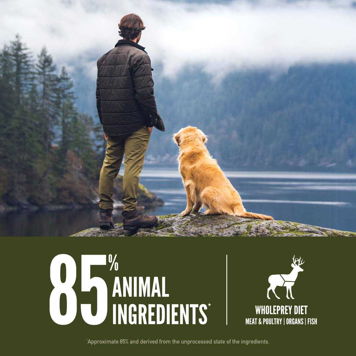 Dry Dog Food Z49222