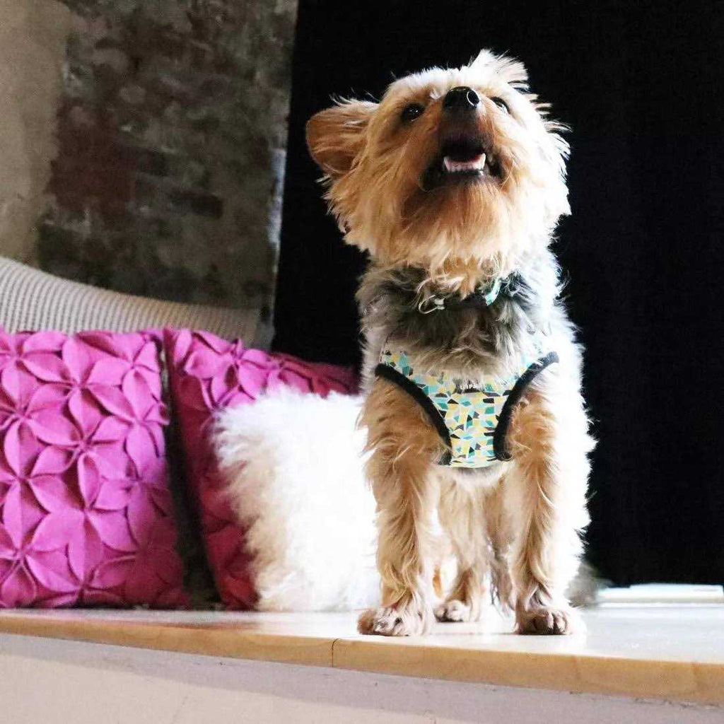 Canvas Dog Harness B48988