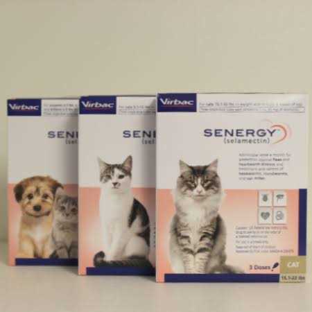 Topical for Cats 5.1 15 lbs J807230
