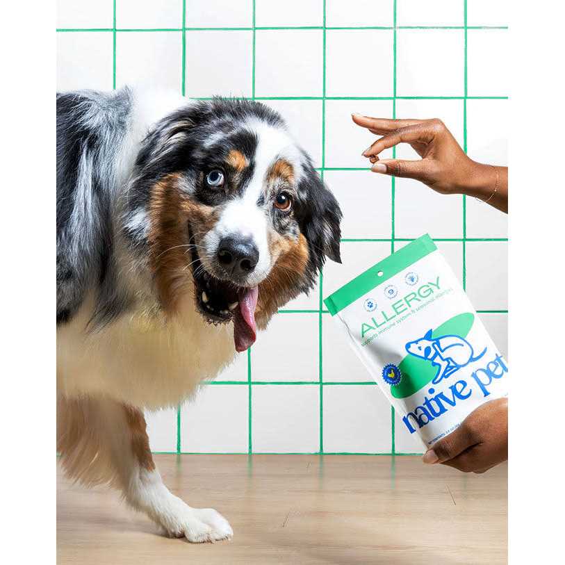 Allergy Chews for Dogs X659871