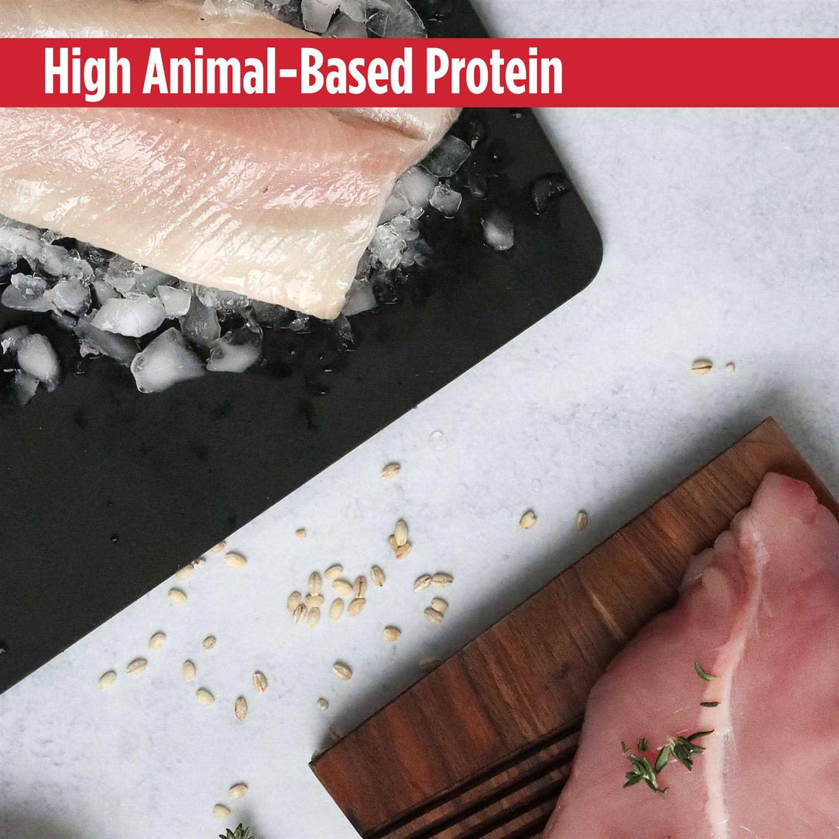 Grain-Free Turkey & Cod Dry Cat & Kitten Food X496