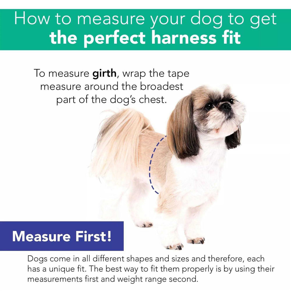 Canvas Dog Harness B48988