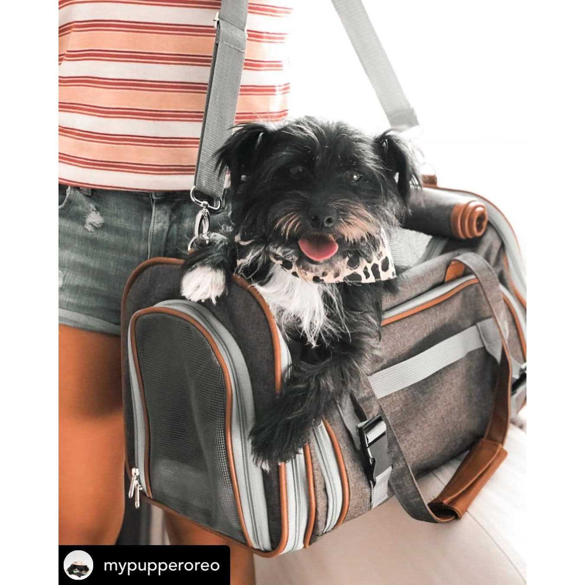Expandable Airline Approved Pet Carrier X88067
