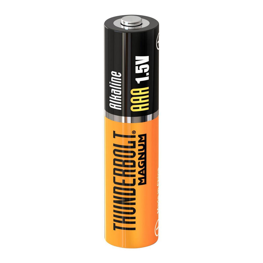 AAA Alkaline Batteries 24-Pack U34890