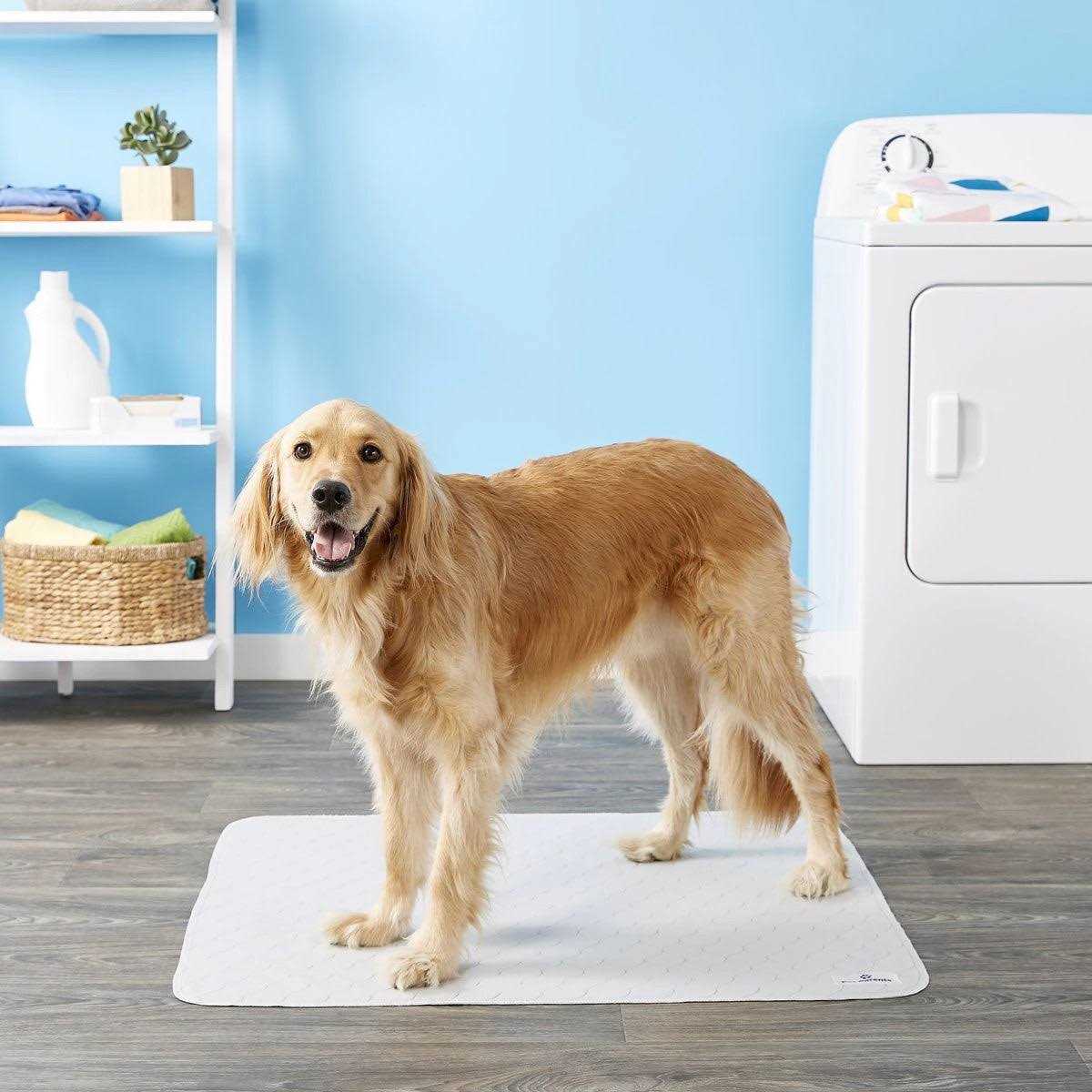 Washable Dog Pee Pads S493