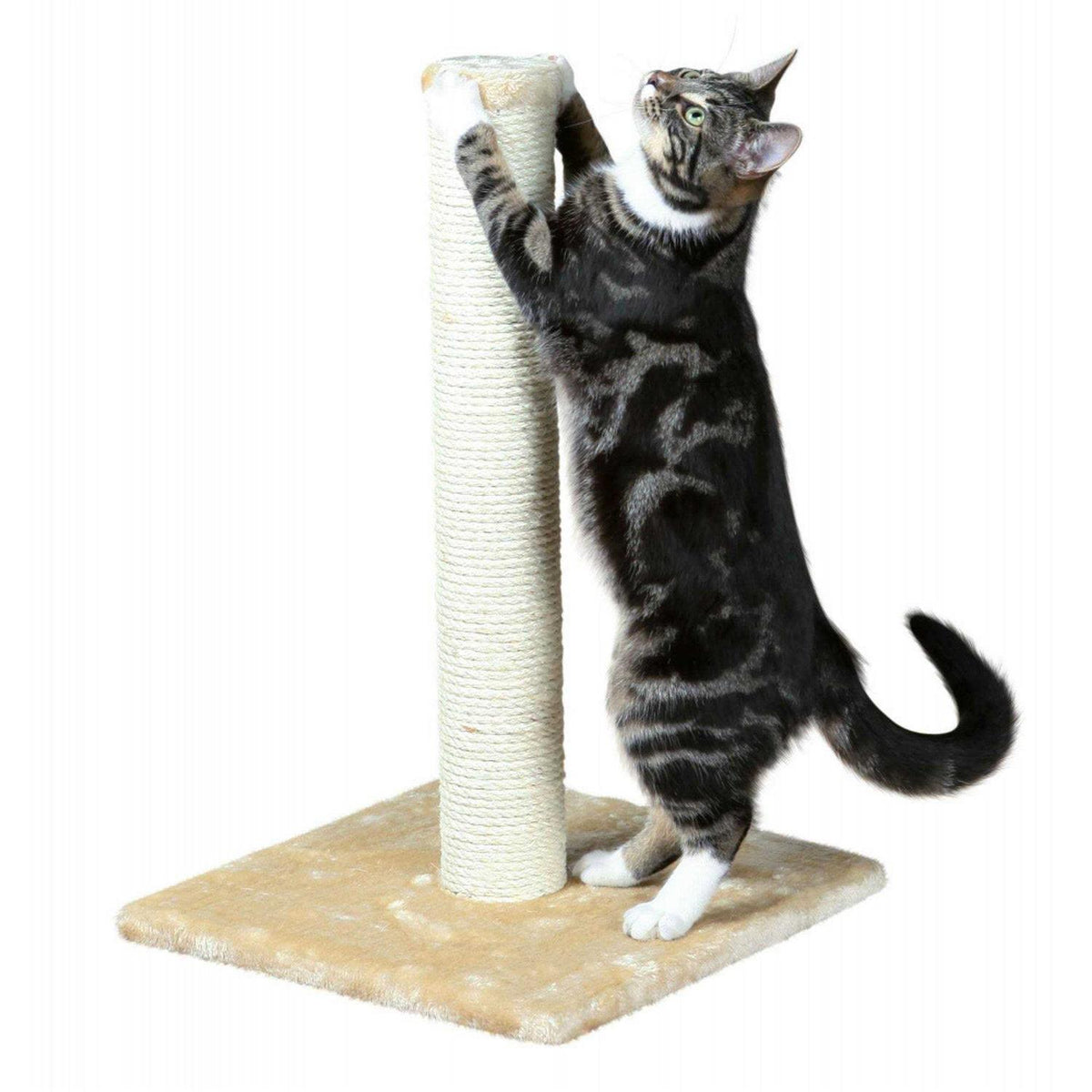 Scratching Post K61718