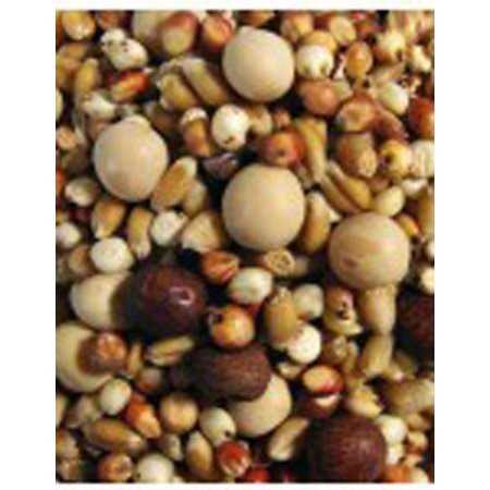 Pigeon Food 50 lb M1039
