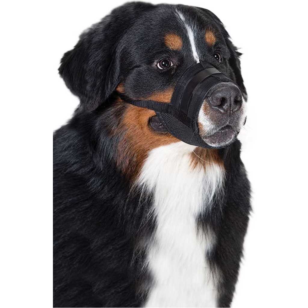 Dog Muzzle Z1679