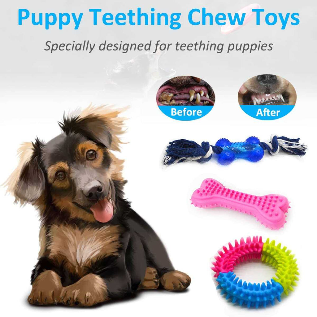15 Pack Durable Puppy Chew Toys A854