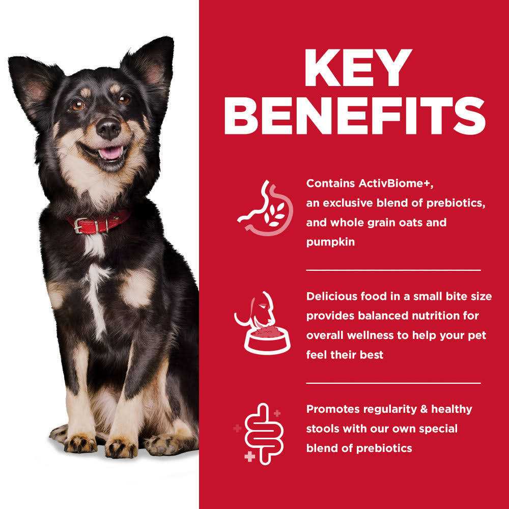 Chicken Dry Dog Food F379670
