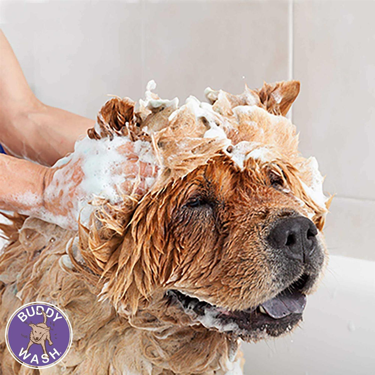 Dog Shampoo & Conditioner T102