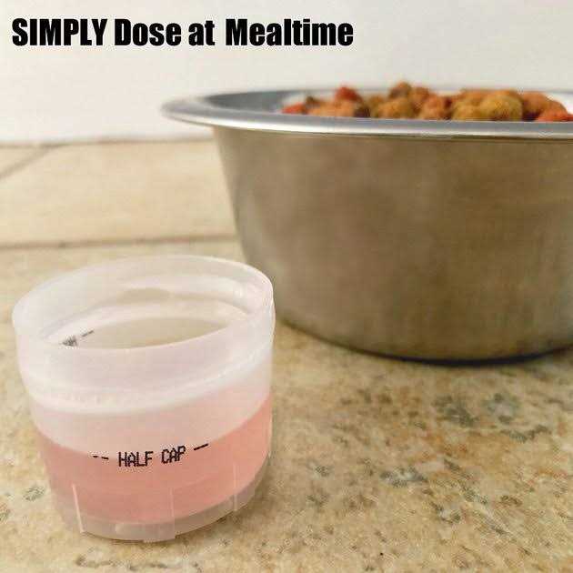 Feline Itch & Allergy Formula N97261