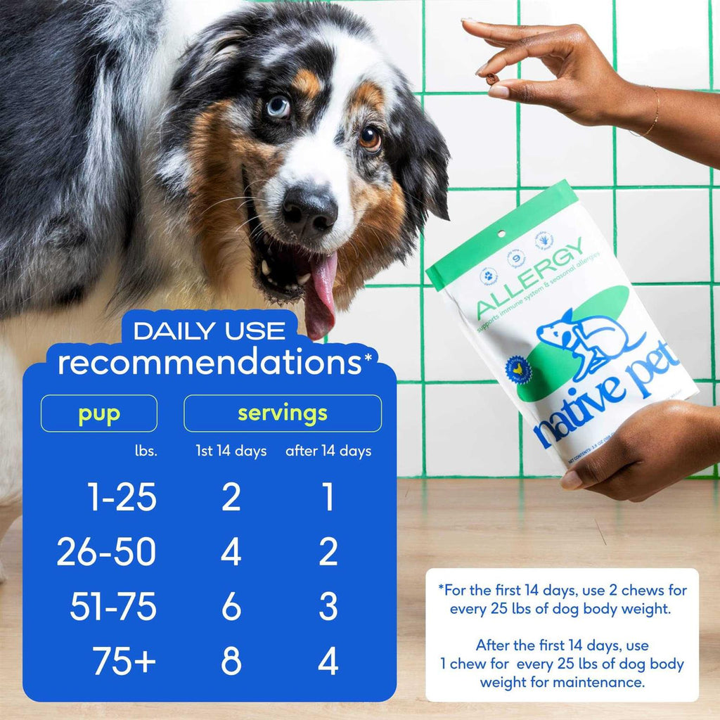 Allergy Chews for Dogs X659871