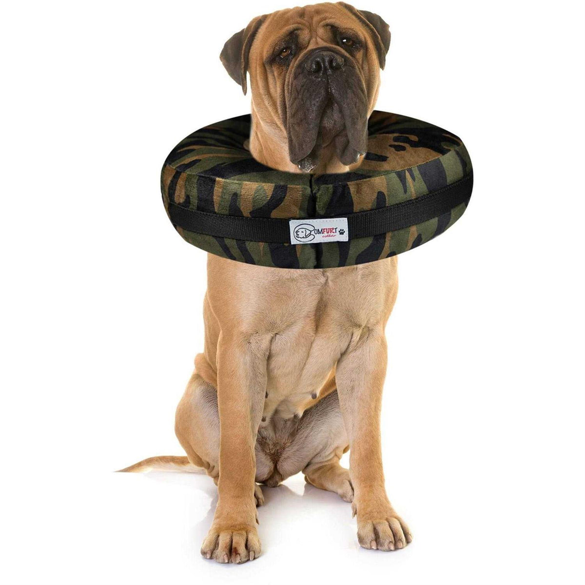 Dog & Cat Recovery Collar D905805