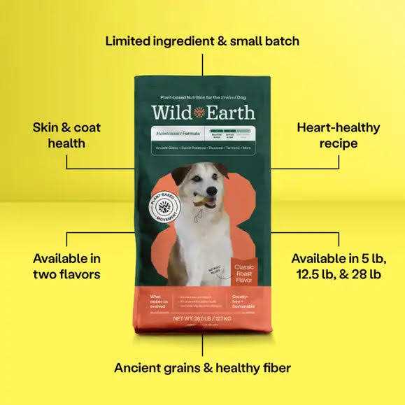 Classic Roast Flavor Dry Dog Food W4749