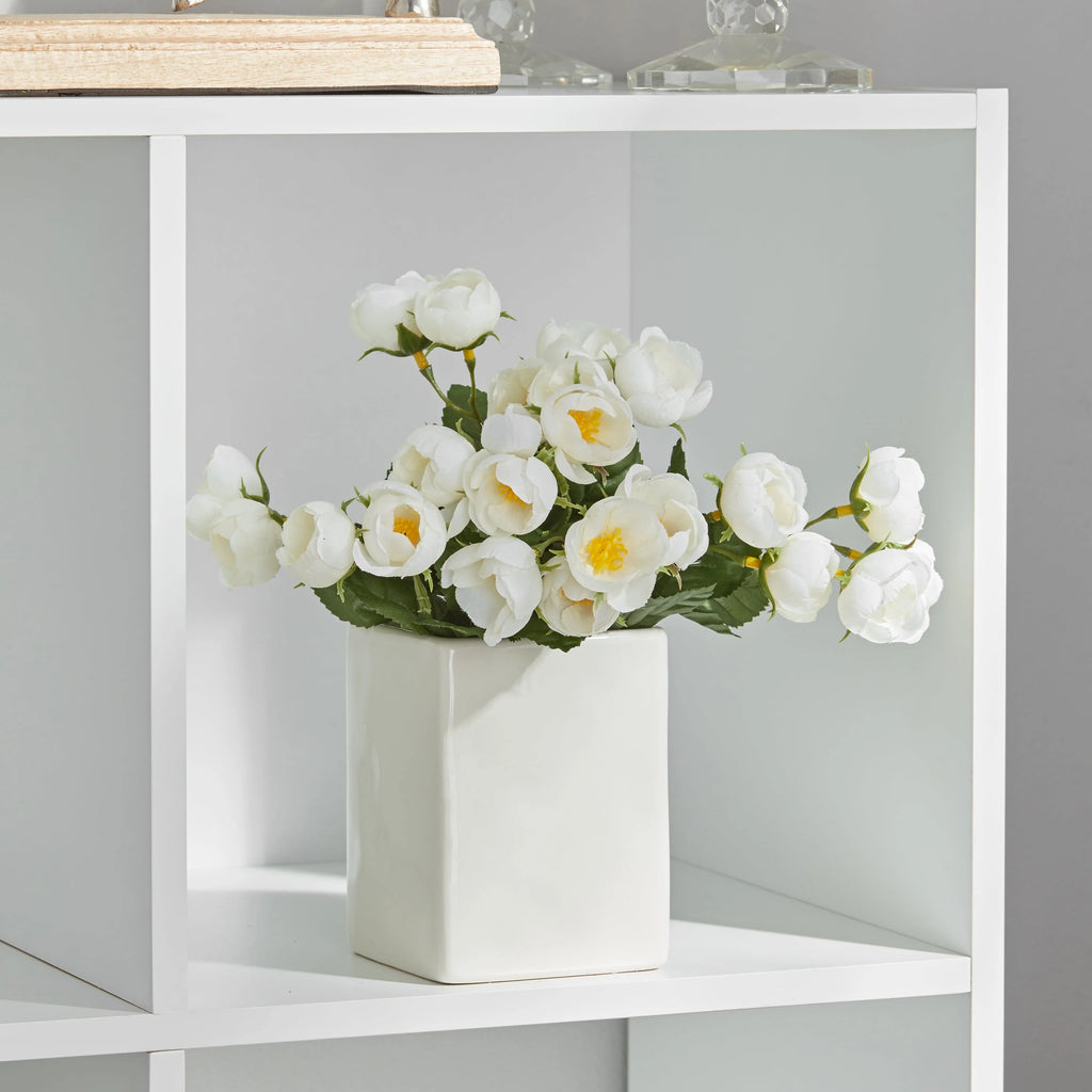 6 Cube Storage Organizer R966