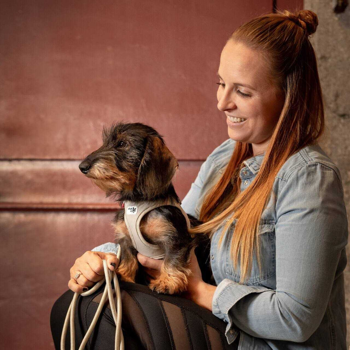 Air-Mesh Dog Harness K2570