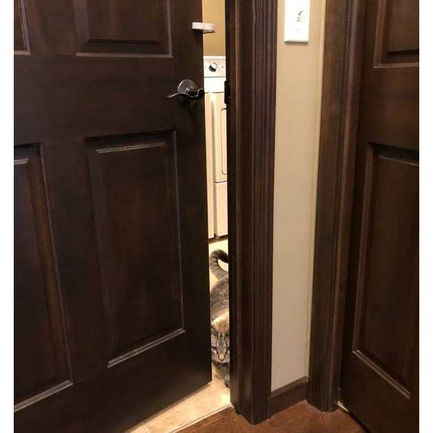 Door Paw-tector for Dogs U6789